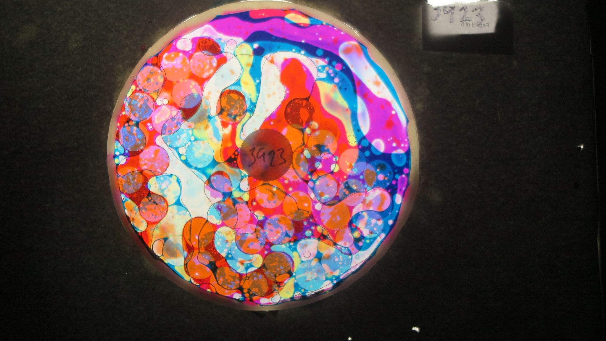 BV3923 bubble vision oil wheel